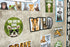 Teacher Created Resources Go Wild Animals Mini Bulletin Board