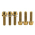 Titanium Ti Allen Hex M5x16 18mm Tapered Head Bolt with Washer, Pack of 6 (Gold)
