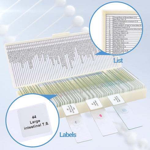 60 Microscope Slides with Specimens for Kids - Prepared Microscope Slides for Microbiology