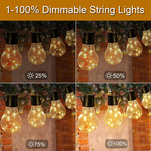 14ft Battery Operated 20 Hanging Bulb 100 LED String Lights, Vintage Outdoor Lights for Home, Patio, Christmas Party