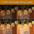 14ft Battery Operated 20 Hanging Bulb 100 LED String Lights, Vintage Outdoor Lights for Home, Patio, Christmas Party