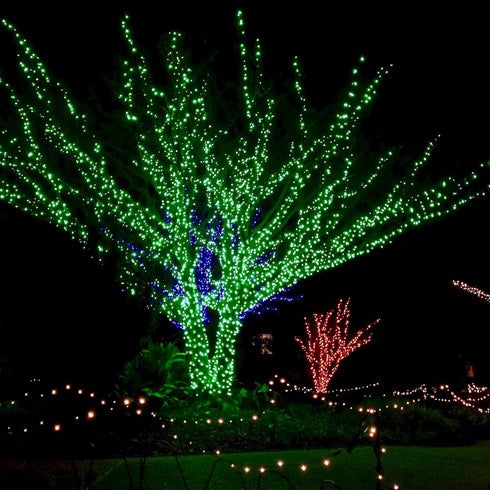 WATERGLIDE St. Patricks Day Shamrocks Lights, 50 LED Outdoor Decorative String Lights, Battery Operated