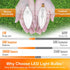 Bulbs 2700K E12 60w B11 Bulbs Bulbs 500LM CRI85 120V Non-Dimmable 8 Pack hansang LED Ceililng Fan Light Warm White