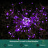 JJGoo Solar Garden Lights - 2 Pack 180 LEDs Solar Firework Lights for Outdoor Waterproof