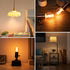 Dimmable E26 G16.5 Bulb 25W 3W Bulbs,G16.5/G50 Bulbs Bulbs 2200K,180LM,6 Pack Vintage Amber LED Light Equal Short Light