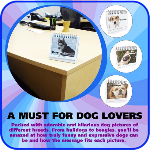 Funny Dog Desk Signs for Office | Ideal Gifts for Dog Lovers | Perfect Desk Decor & Accessories