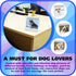 Funny Dog Desk Signs for Office | Ideal Gifts for Dog Lovers | Perfect Desk Decor & Accessories