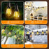 S14 Bulb 50Ft 15M Dimmable Outdoor Patio String Lights: Shatterproof Outside Waterproof Light - Remote Connectable