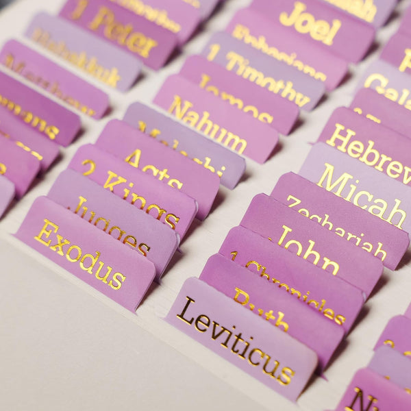 Pink Bible Tabs for Women & Men(Gold Foil Lettering) Laminated Bible BookTabs,