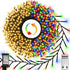 ZAIYW 50Ft 1000 LED Cluster String Lights Dual Color Changing String Lights