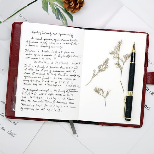 Dragon Leather Journal Notebook, Diary with Combination Lock, Lined/Blank Paper, B6 Writing Journals