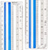 Westcott Data Processing Magnifying Ruler, 12-Inches, Clear (14125)