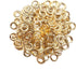 KING PIECES 2000pcs Gold Grommets, 3/8 Inch (10mm) Washers and Grommets Kit for Grommet Tool, Metal Grommets Eyelets