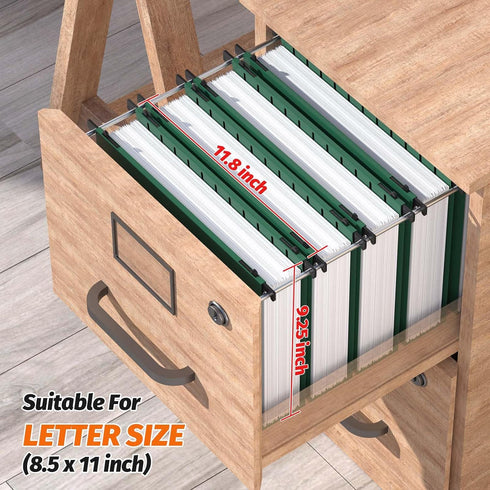 Extra Capacity Plastic Hanging File Folders, 12 Pack Heavy Duty 2 Inch Expansion, Letter Size, Green