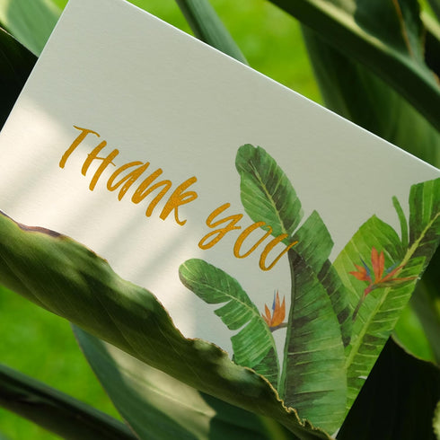 4x6 4 (50 Pack) Crisky Greenery Assorted Thank You Cards with Envelopes & Stickers Greeting Cards Bulk, tropical plants