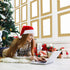 Whaline 98.4Ft Christmas Glitter Bulletin Board Borders - 3 Rolls Red Green Gold Die-Cut Trim for School Office