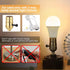 Briignite 3 Way LED Light Bulbs, 50 100 150W Equivalent, A19 E26 Medium Base, Warm White 3000K, 2 Pack
