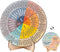 Feelings Wheel Therapy Office Desk Decor, Double Sided Mental Health Emotions Chart with Stand