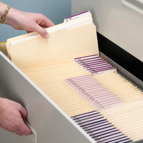 Smead File Folder, 1/3-Cut Tab, Letter Size, Manila, 100 per Box for Document Organization