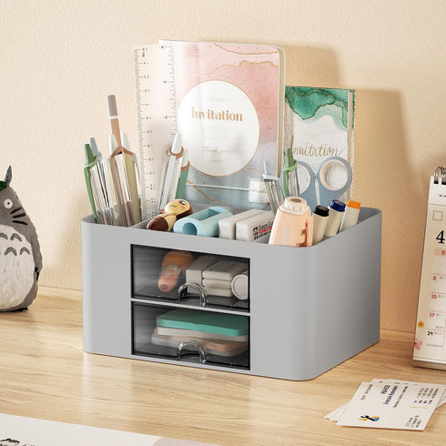 Marbrasse Pen Organizer with 2 Drawers, Multi-Functional Desk Holder with 5 Compartments for Office Art Supplies