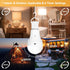 Neporal MagicGlow Rechargeable Solar Light Bulbs, 2 Pack, USB+Solar Rechargeable, Dimmable Battery Light Bulb, A19