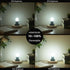 G16.5 Bulb 4W 40W Bulb, Dimmable G16 1/2 Bulb 4000k,400LM AC120V, E26 Bulbs Vanity,6Pack (4W-4000K) Frosted LED Equal