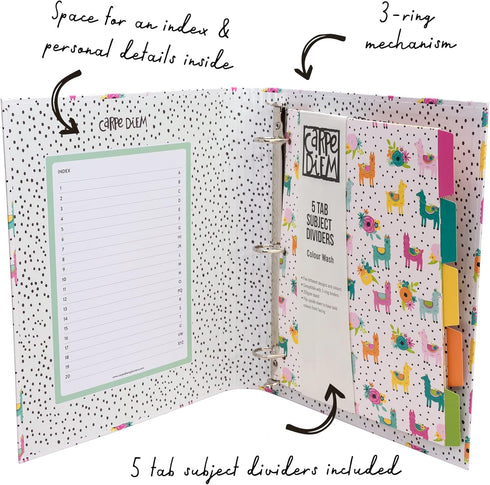 Pukka Pad Carpe Diem Preloaded Rollbound Ringbinder, 12.4 x 10.8in with Index, Planner Pages, and 5-Part Dividers