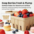 30 Pack Natural Pulp Fiber Berry Basket,Small Molded Produce Vented Basket Kitchen Supplies for Strawberry Blueberry