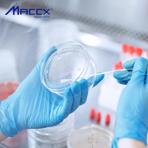 Sterile Plastic Petri Dishes with Lid, 20 PCS Dia.150mm*15mm Clear Petri Plates for Classroom/Laboratory