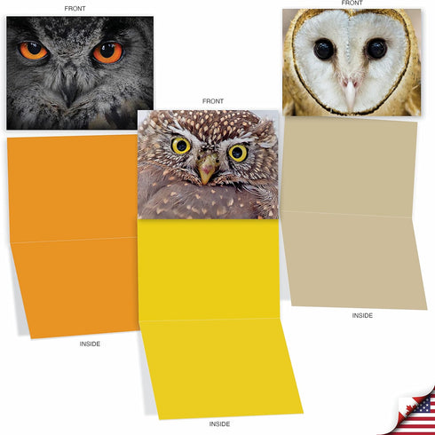 The Best Card Company 10 Bird Note Cards Blank (4 x 5.12 Inch) with Envelopes, Boxed Set