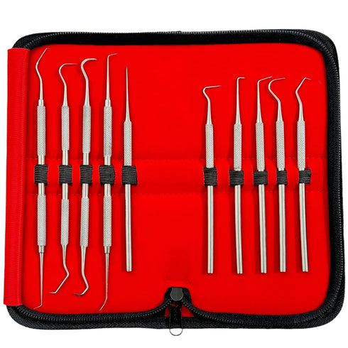 Avon Surgical Set 10 Precision Probe of Pieces Dental Hygienist Oral Care Picks Single and Double-Ended with Varying