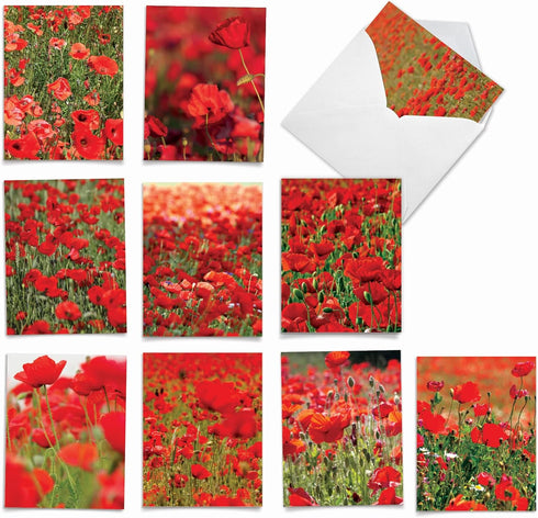 The Best Card Company - 10 Assorted Thank You Notecards Bulk Box Set 4 x 5.12 Inch with Envelopes (10 Designs, 1 Each)