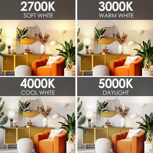 Bulbs 100 1600LM, 5000K, Non-Dimmable A19 Bulb, E26 6 Packs E ENERGETIC LIGHTING LED Watt Equivalent, Super Brightness