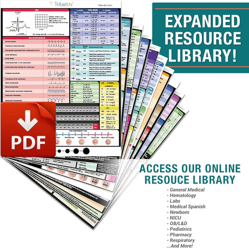 BadgeGuru Nursing Badge Reference Cards, 33 Double Sided Nurse Cards - Nursing School Essentials