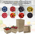 FMOACEN 50 4.3x4.3x2.8inch Pcs Natural Pulp Fiber Berry Basket, Molded Berry Basket Produce Vented Container