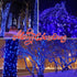 100LIGHTS BLUE Extra-Bright Christmas Decorative Lights, 5.98m UL Certified Mini String Light Set Waterproof for