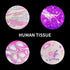100Pcs Prepared Microscope Slides Set, Professional Specimens for Kids and Student Homeschool Use