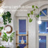 Bulb 10Ft E26/E27 1 Pack Light Socket with Cord - Plug in Pendant Light Cord Hanging Lamp Socket with On/Off Switch, UL
