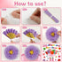 ojustbeok April Showers Bring May Flowers Bulletin Board Decorations, Spring Cutouts with 3D Tissue Paper Pompoms for