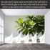 Agglomerix Custom Size Wall Murals Fiddle Leaf Fig Tree Botanical Minimalist Green Leaves SelfAdhesive Wall Fabric