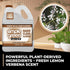 1 Simple Green Pro Hard Floor Cleaner Gal