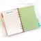 Zelten Refills/Loose Leaves for A5 Cover Ring Binder, Personal Organizer/Planner (A5 6 Holes, Divider)
