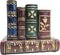 Pen Holder for Desk, Decorative Resin Pencil Organizer Caddy with Antique Library Books Design for Office Supplies