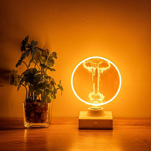 Bulb Bulb 40 Dimmable E26 Bulb 4W 1800K Sunaiony Decorative Light Unique Globe Watt Equivalent, Spiral Filament Large