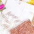 Rose Gold Paper Clips, 200 pcs Smooth Finish Steel Wire Paperclips, 50mm Medium Size for Document Organizing Office