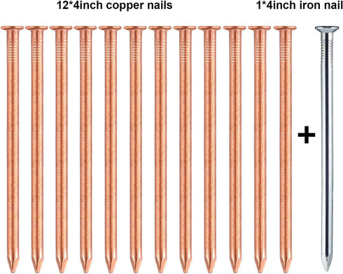 12 Pcs 4 Inch Long Copper Nails Spikes for Tree Killing, Stump Removal with 1 Pcs Steel Nails, Storage Box Included