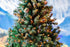 25ft 50 Bulbs 6" Commercial Novelty Lights Christmas String Lights, Amber/Orange LED on Black Wire, Spacing