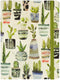 Watercolor Succulents Journal (Notebook, Diary)