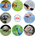 Motivational Animal Stickers, 500 Incentive Labels Roll, 1.5" Funny Inspirational School Clinic Reward Stickers
