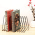 CAXXA 10 Slots Triangle Bookshelf - Black Metal Wire File Sorter Magazine Holder Document Holder